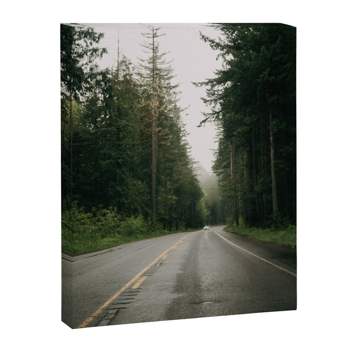 Forest Drive III Canvas Print Gallery Image 1