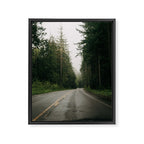 Forest Drive III Framed Canvas Print Gallery Image 6