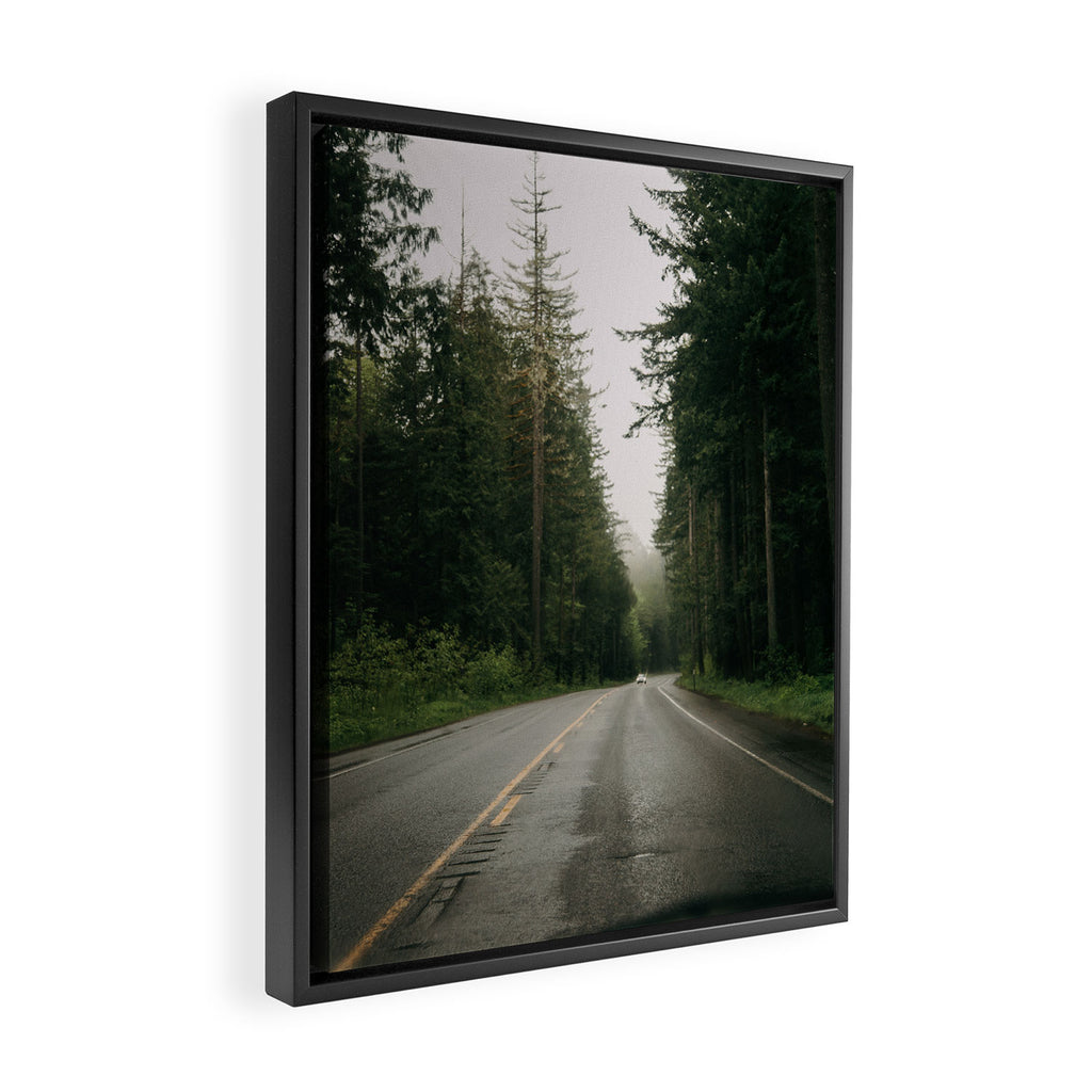 Forest Drive III Framed Canvas Print Gallery Image 2