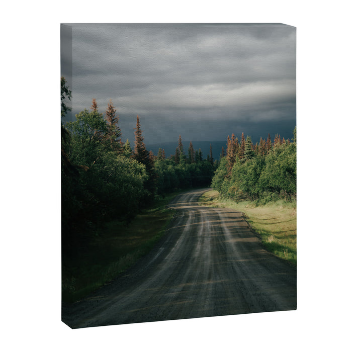 Forest Drive IV Canvas Print Gallery Image 1