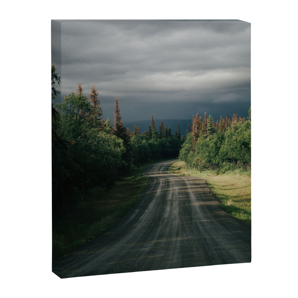 Forest Drive IV Canvas Print Gallery Image 6