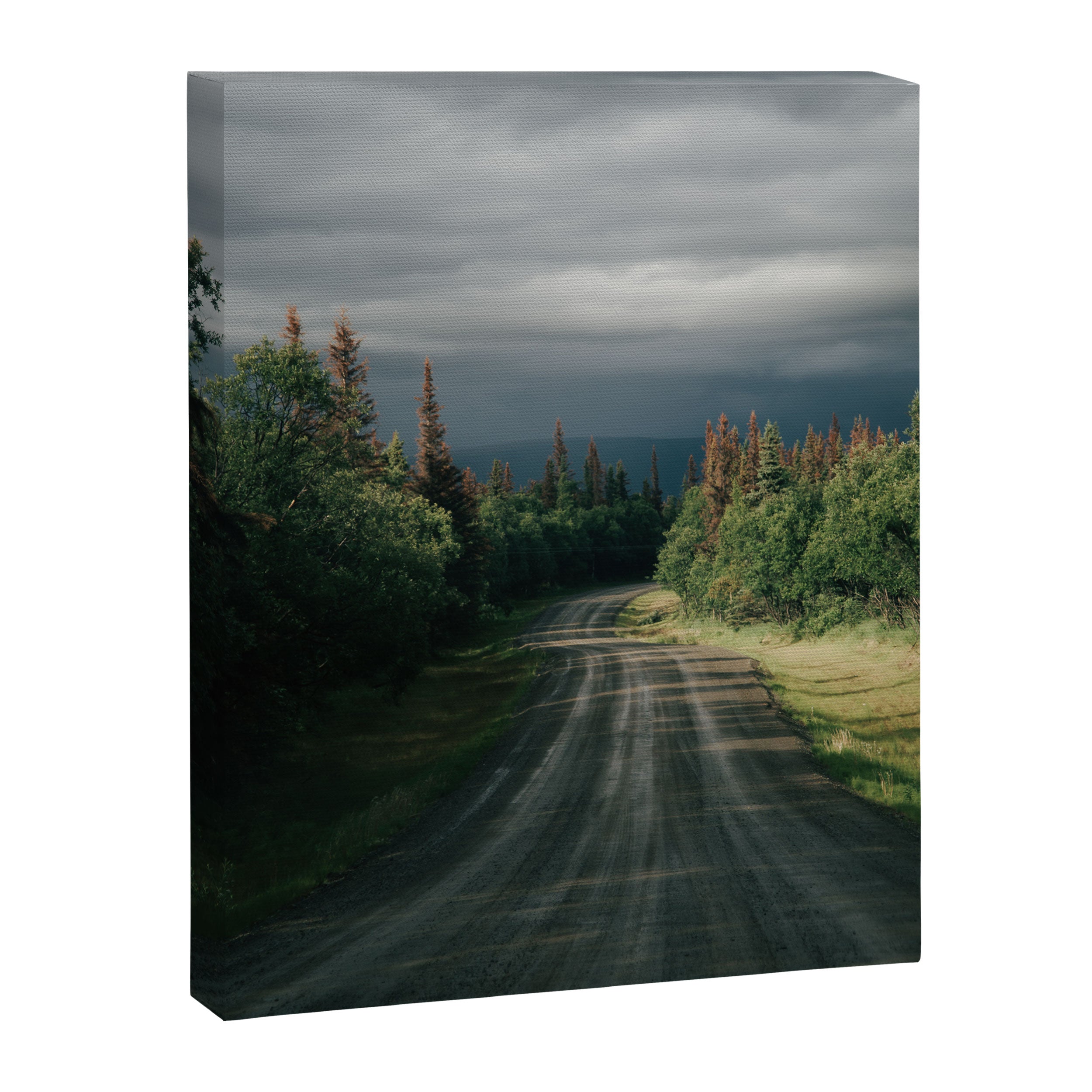Forest Drive IV Canvas Print Gallery Image 6