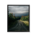 Forest Drive IV Framed Canvas Print Gallery Image 6