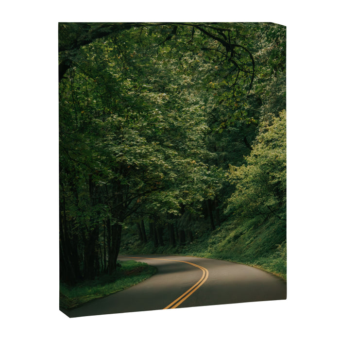 Forest Drive V Canvas Print Gallery Image 1
