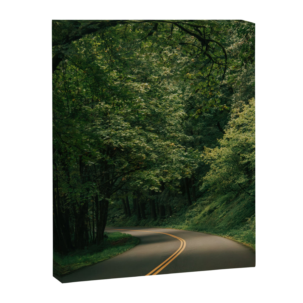 Forest Drive V Canvas Print Gallery Image 6