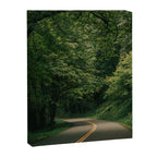 Forest Drive V Canvas Print Gallery Image 6