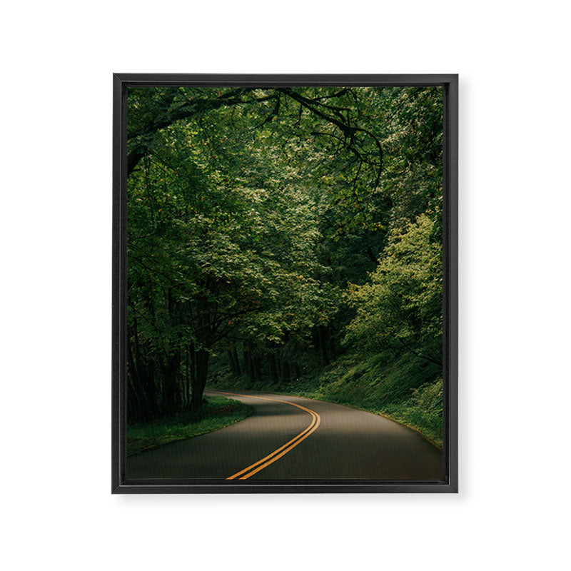 Forest Drive V Framed Canvas Print Gallery Image 6