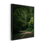 Forest Drive V Framed Canvas Print Gallery Image 2