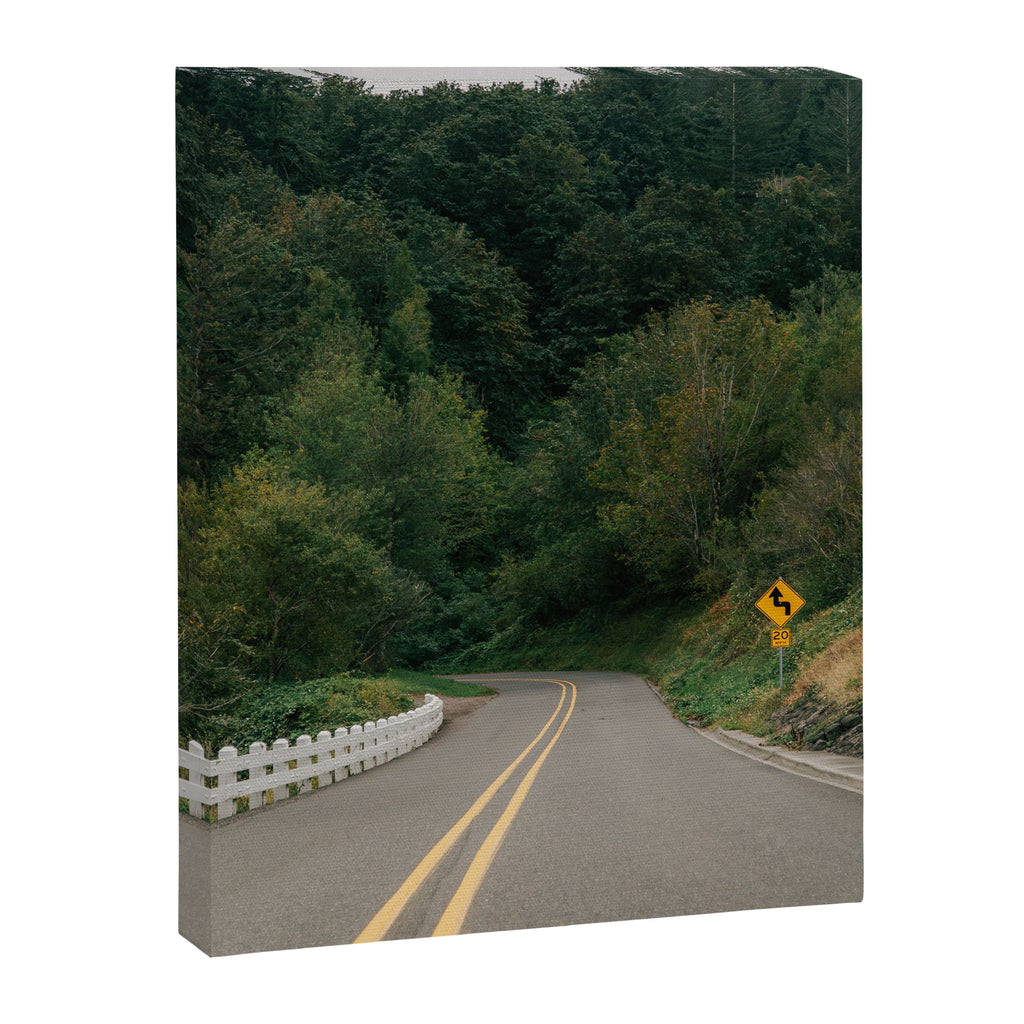 Forest Drive VI Canvas Print Gallery Image 6