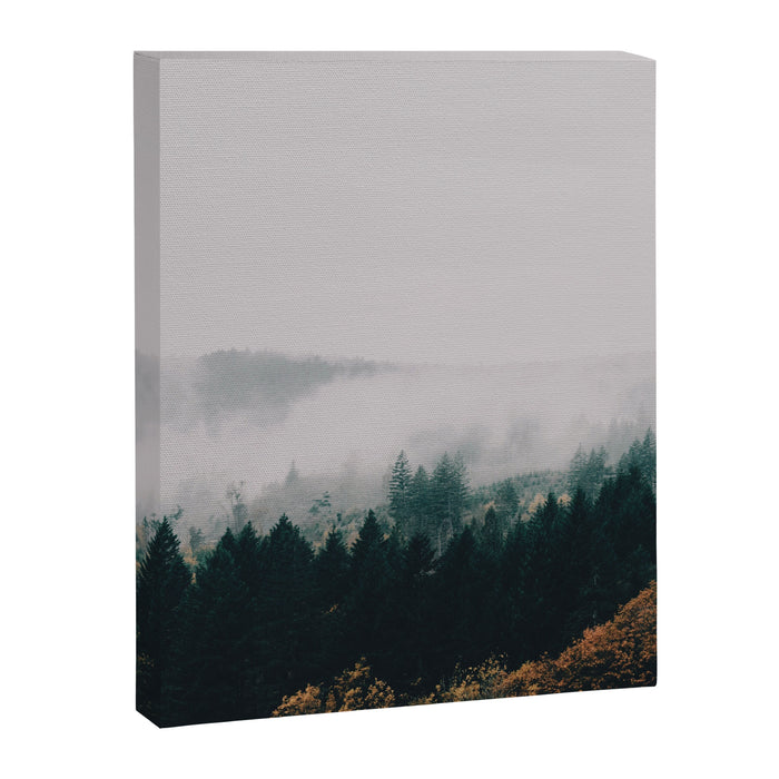 Forest Fog Canvas Print Gallery Image 1