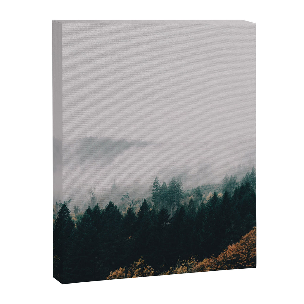 Forest Fog Canvas Print Gallery Image 6