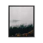 Forest Fog Framed Canvas Print Gallery Image 6