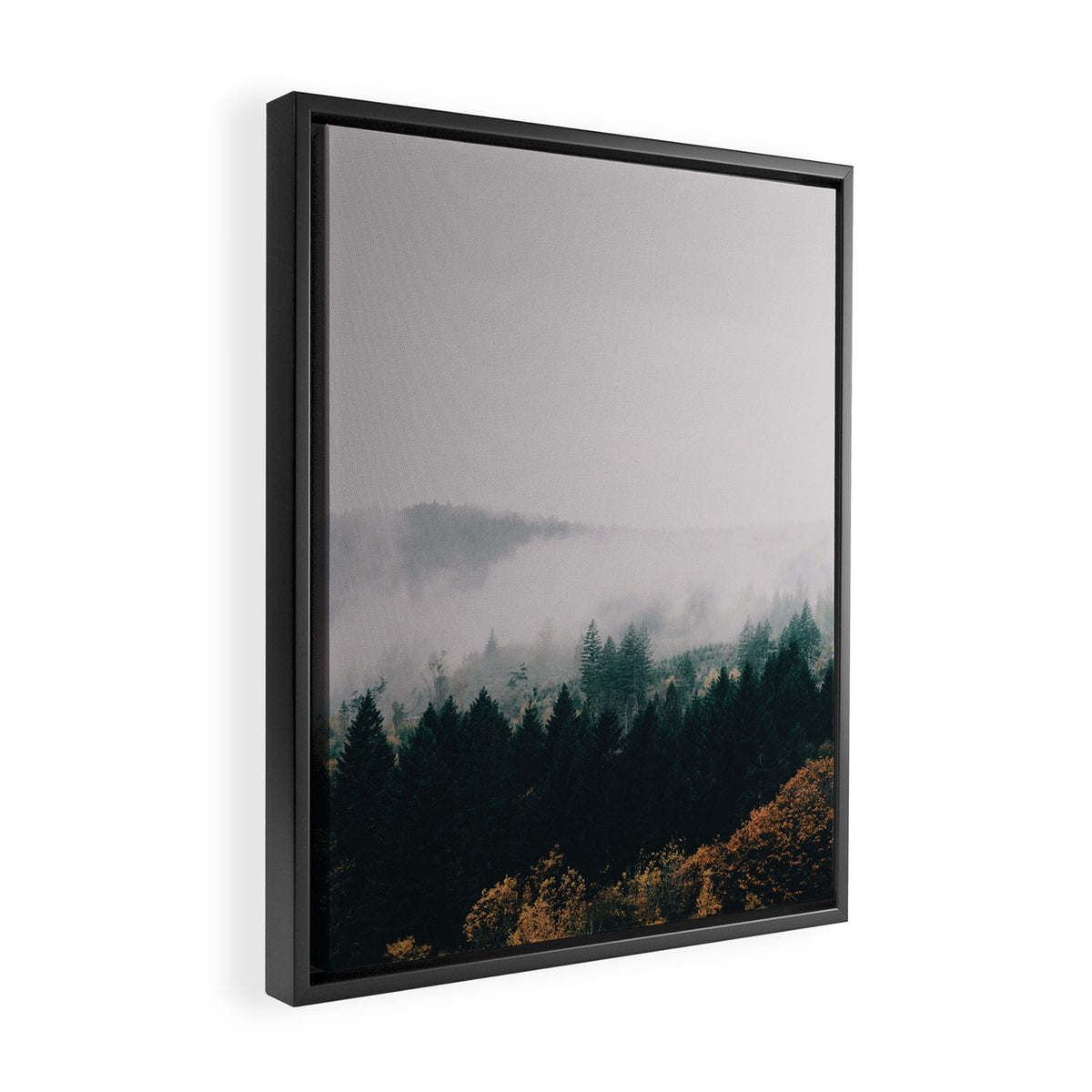 Forest Fog Framed Canvas Print Gallery Image 2