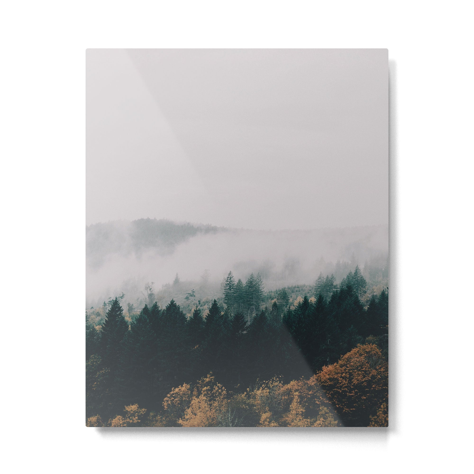 Forest Fog Metal Print Gallery Image 4