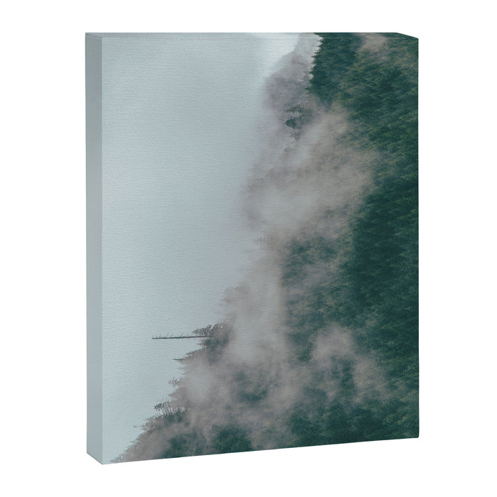 Forest Fog IX Canvas Print Gallery Image 1