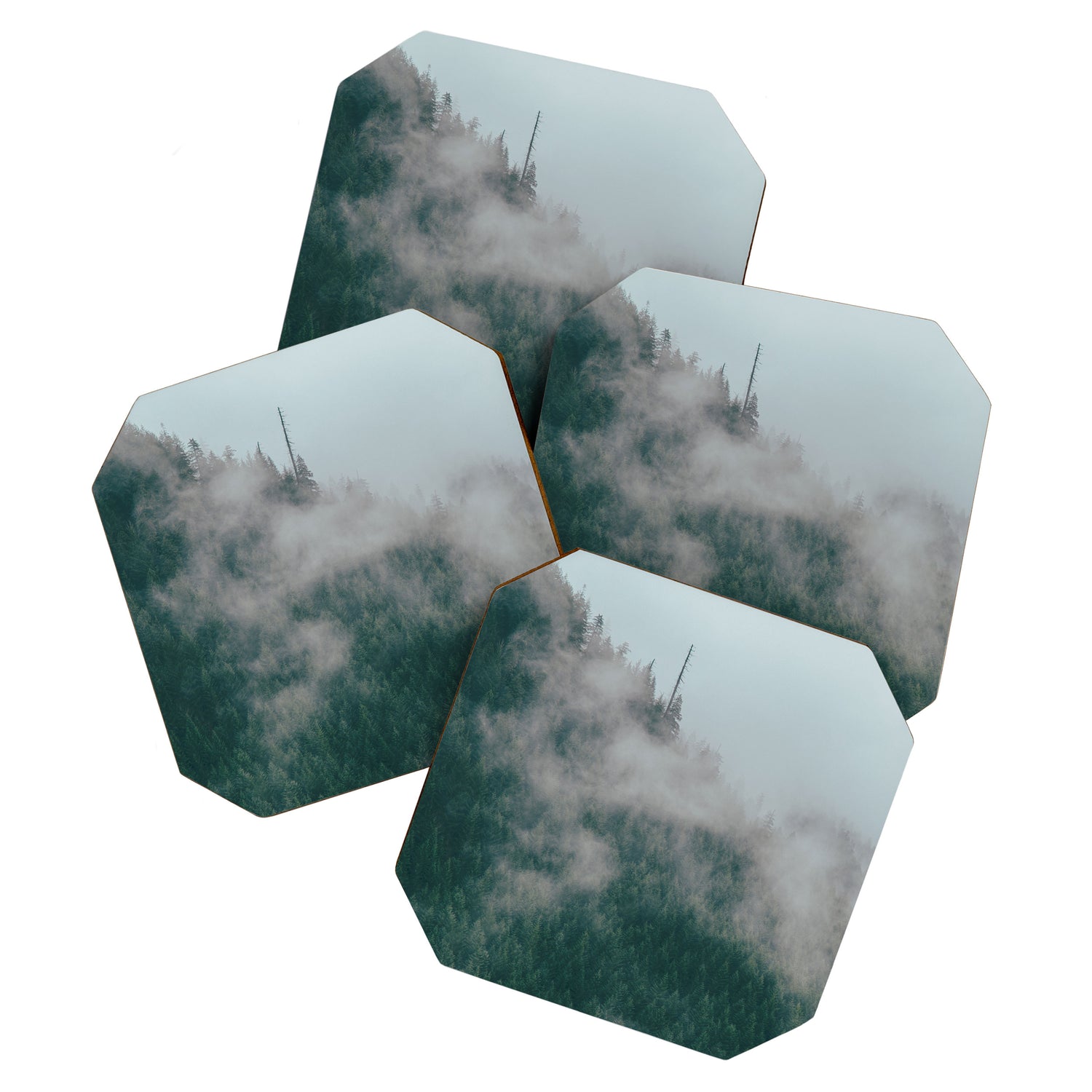 Forest Fog IX Coaster Gallery Image 1