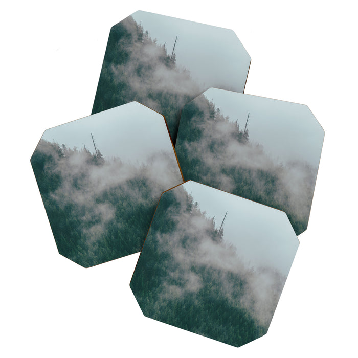 Forest Fog IX Coaster Gallery Image 1