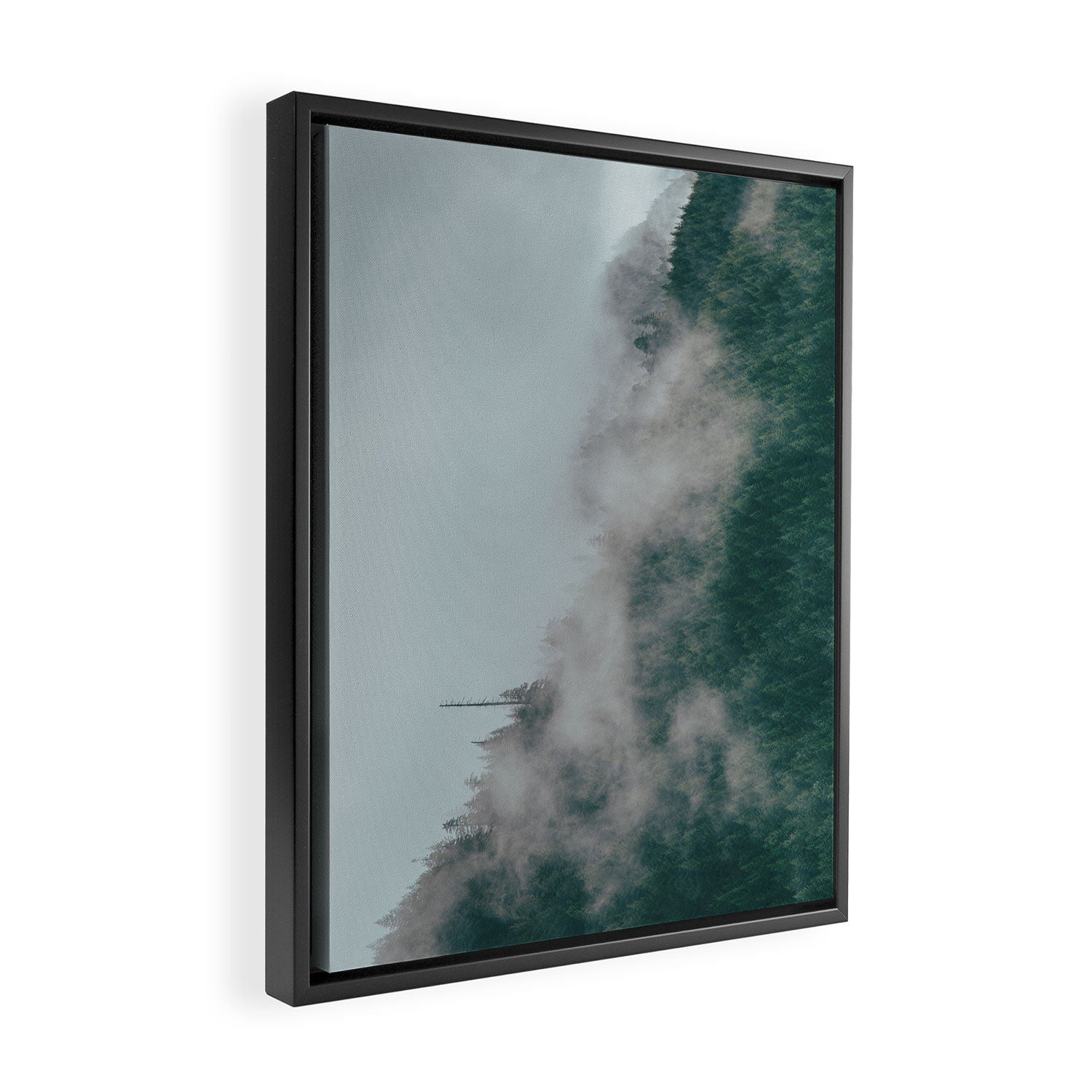 Forest Fog IX Framed Canvas Print Gallery Image 2
