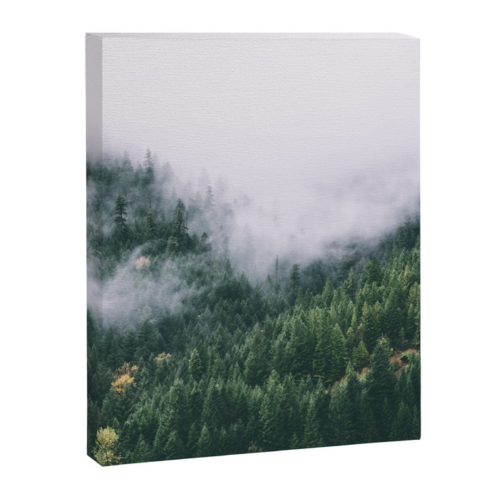 Forest Fog VIII Canvas Print Gallery Image 1