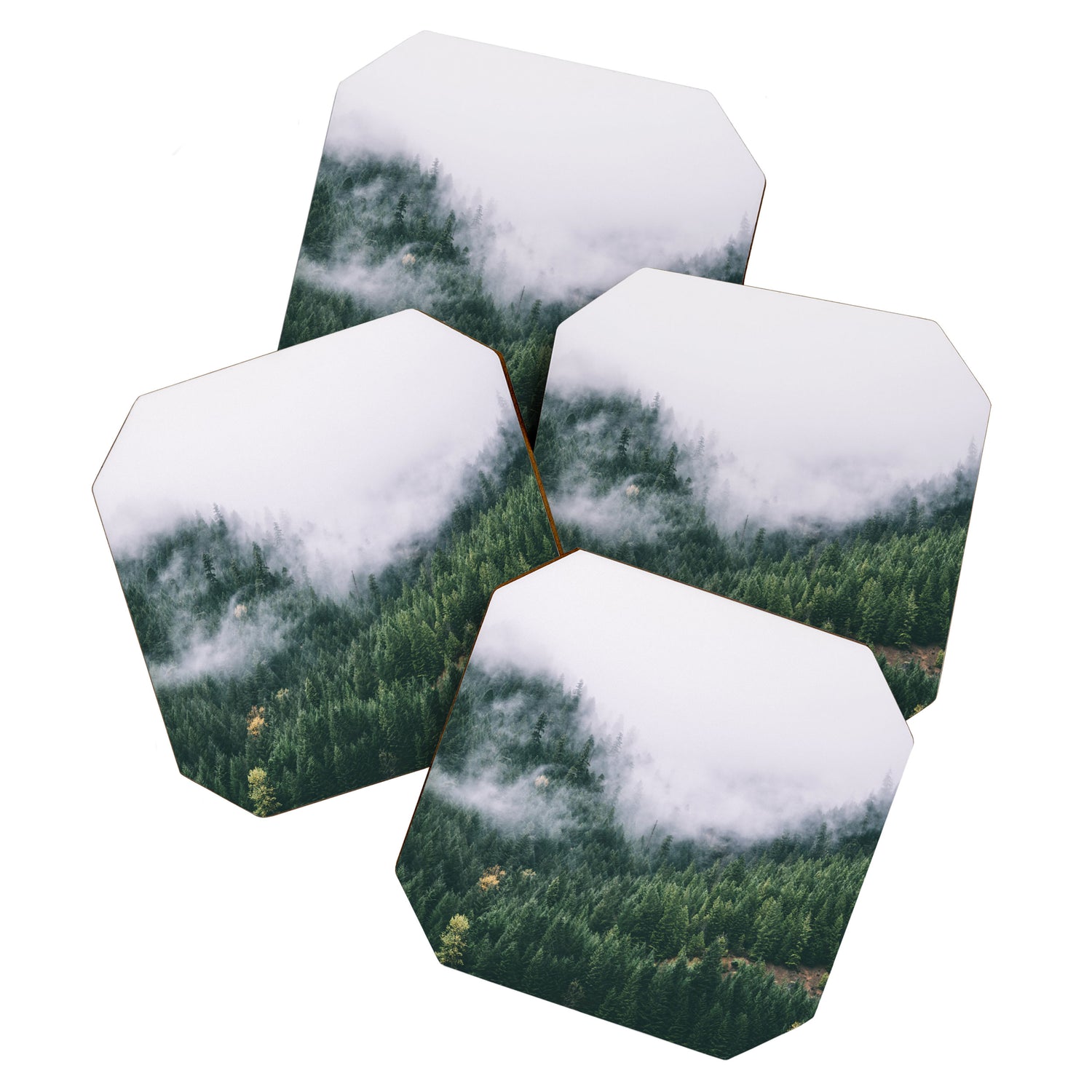 Forest Fog VIII Coaster Gallery Image 1