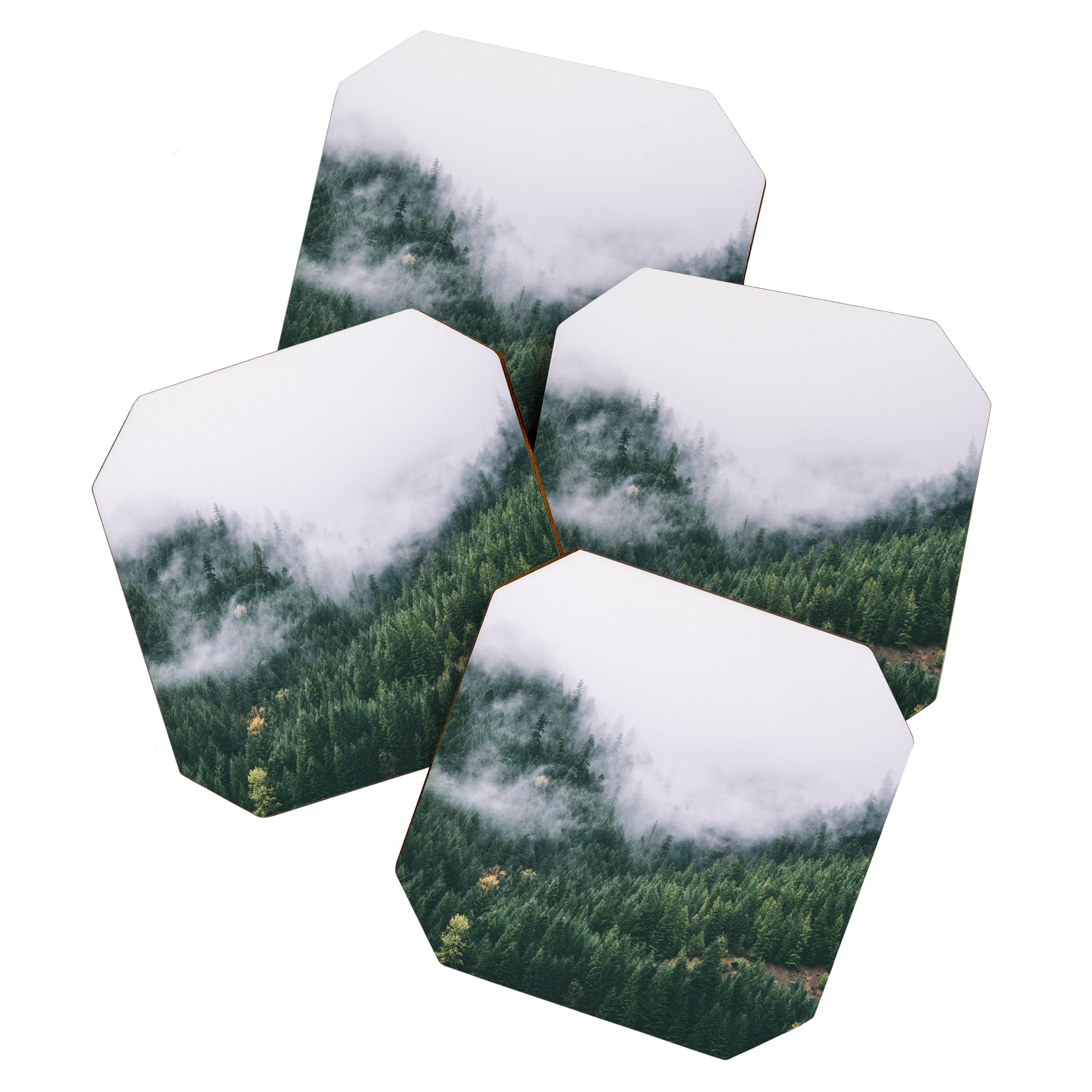 Forest Fog VIII Coaster Gallery Image 1