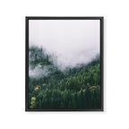 Forest Fog VIII Framed Canvas Print Gallery Image 6