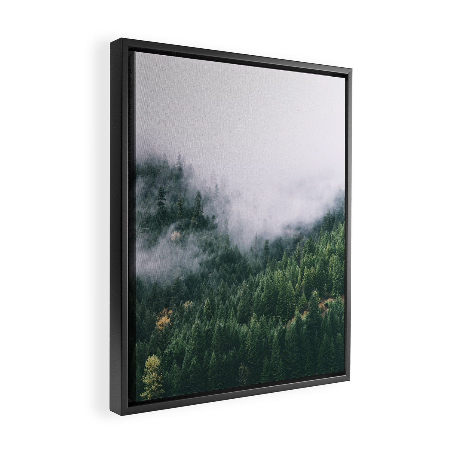 Forest Fog VIII Framed Canvas Print Gallery Image 2