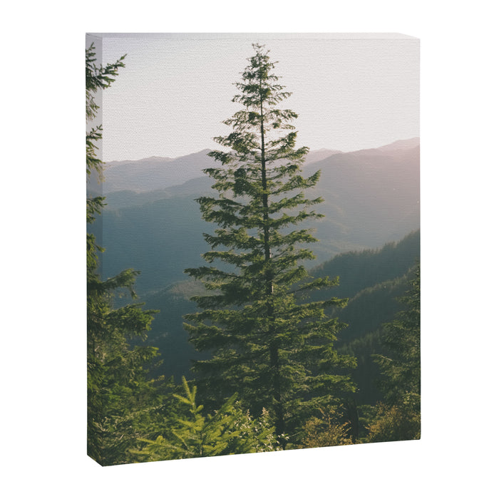 Forest IV Canvas Print Gallery Image 1