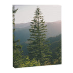 Forest IV Canvas Print Gallery Image 6
