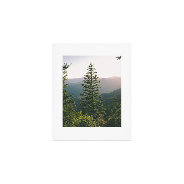 Forest IV Art Print Gallery Image 1