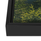Forest IV Framed Canvas Print Gallery Image 3
