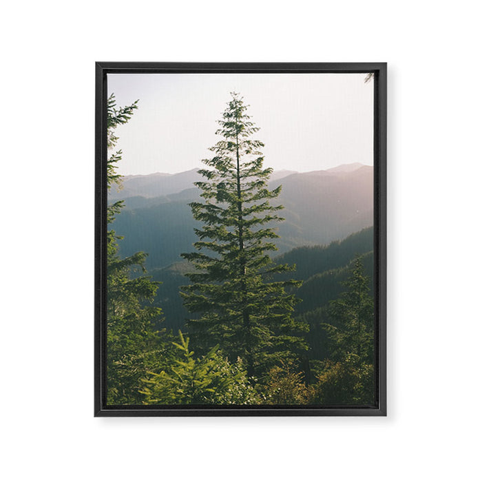 Forest IV Framed Canvas Print Gallery Image 1