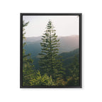 Forest IV Framed Canvas Print Gallery Image 6