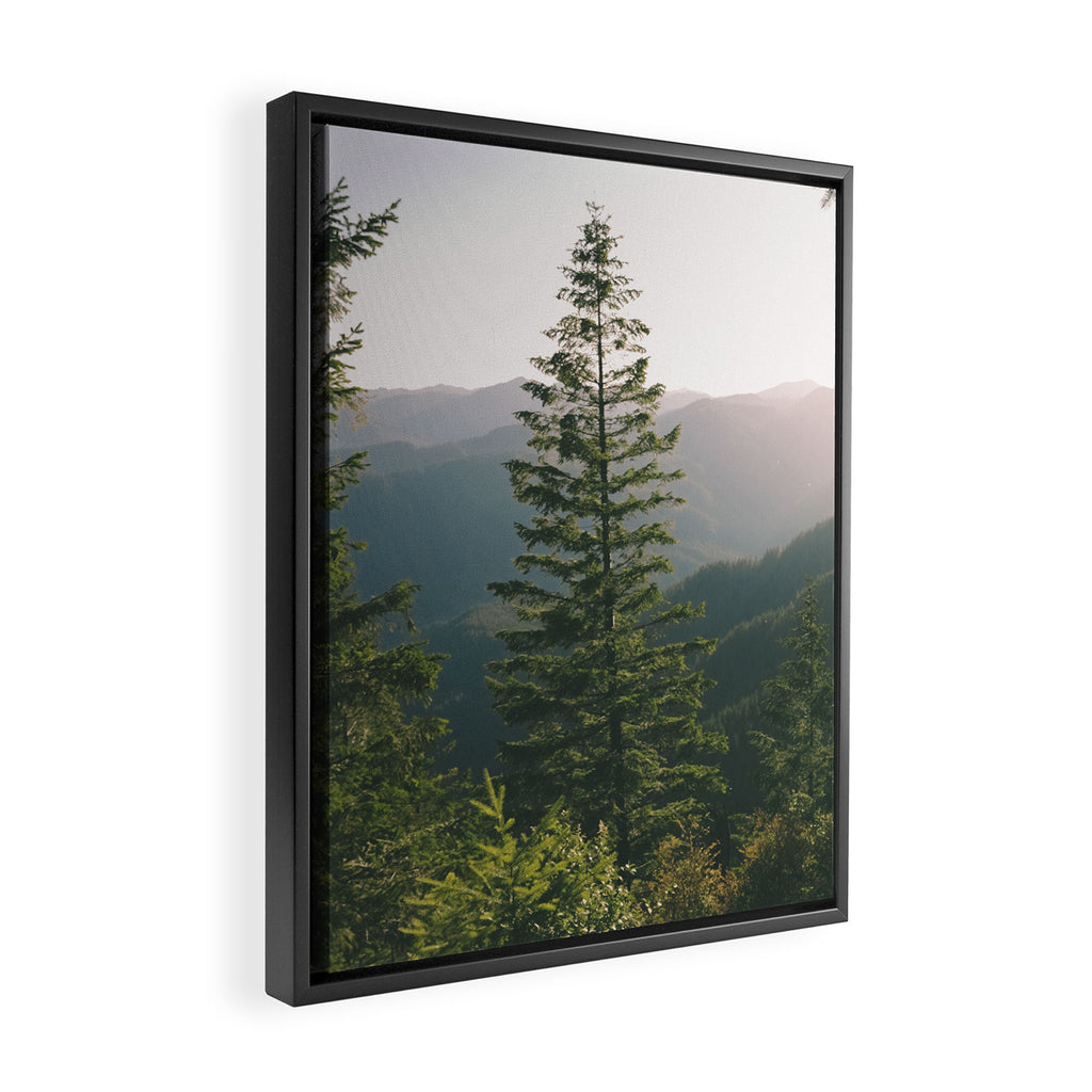 Forest IV Framed Canvas Print Gallery Image 2