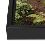 Forest Log Cabin Framed Canvas Print Gallery Image 3