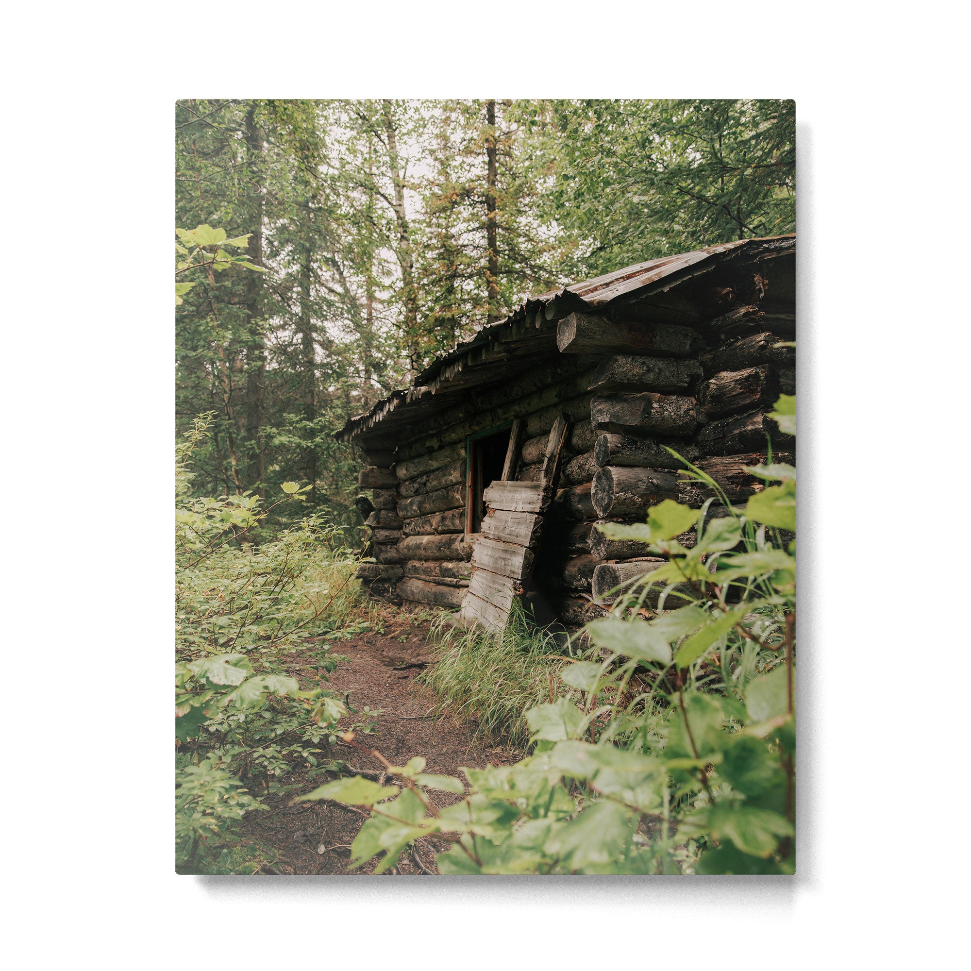Forest Log Cabin Metal Print Gallery Image 4