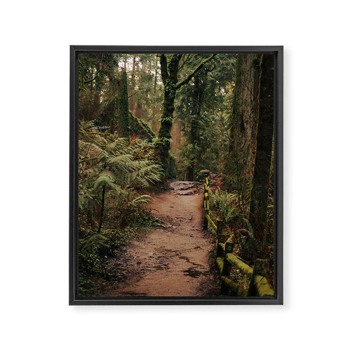 Forest Park Trail Framed Canvas Print Gallery Image 1