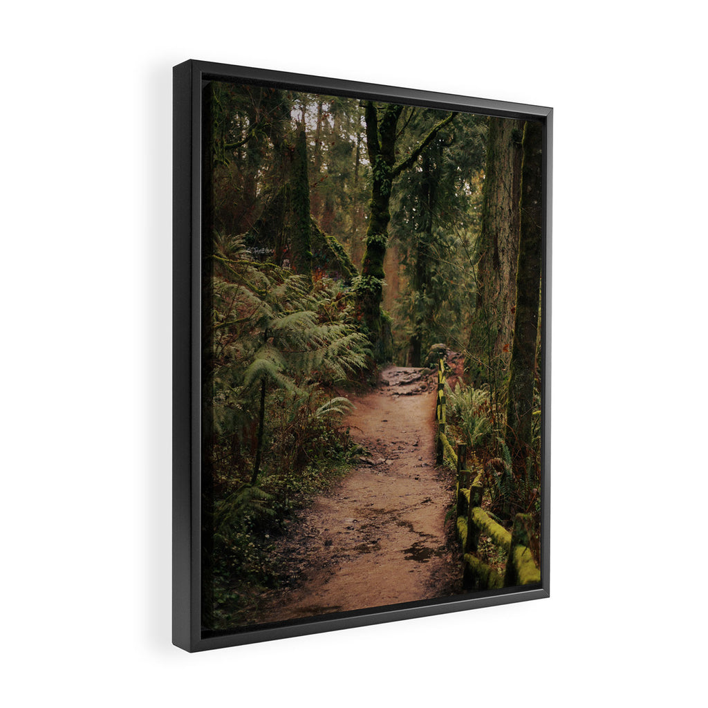 Forest Park Trail Framed Canvas Print Gallery Image 2