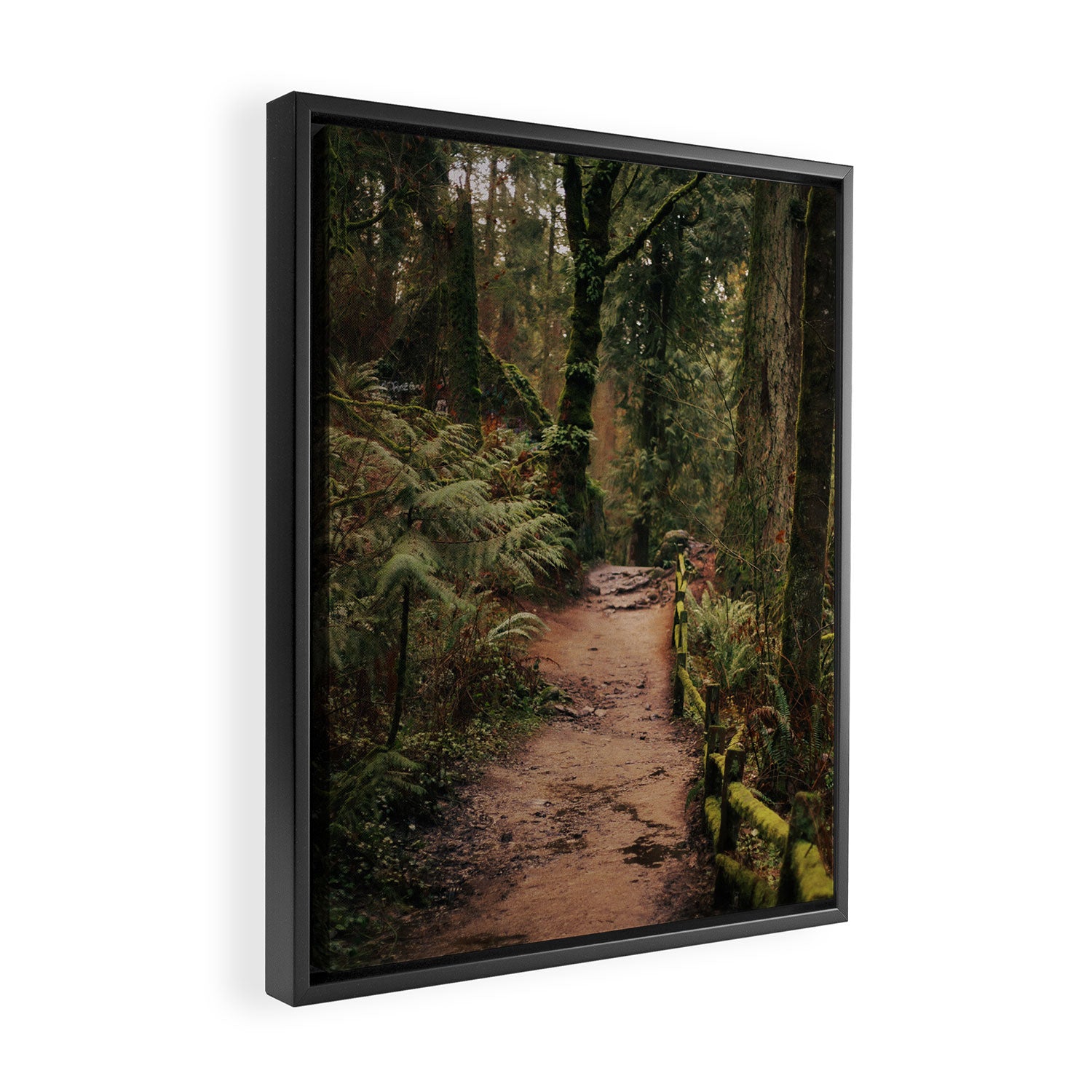Forest Park Trail Framed Canvas Print Gallery Image 2