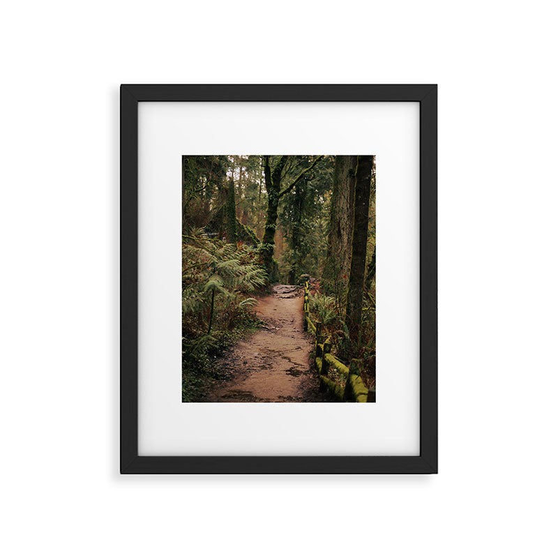 Forest Park Trail Framed Art Print Gallery Image 5