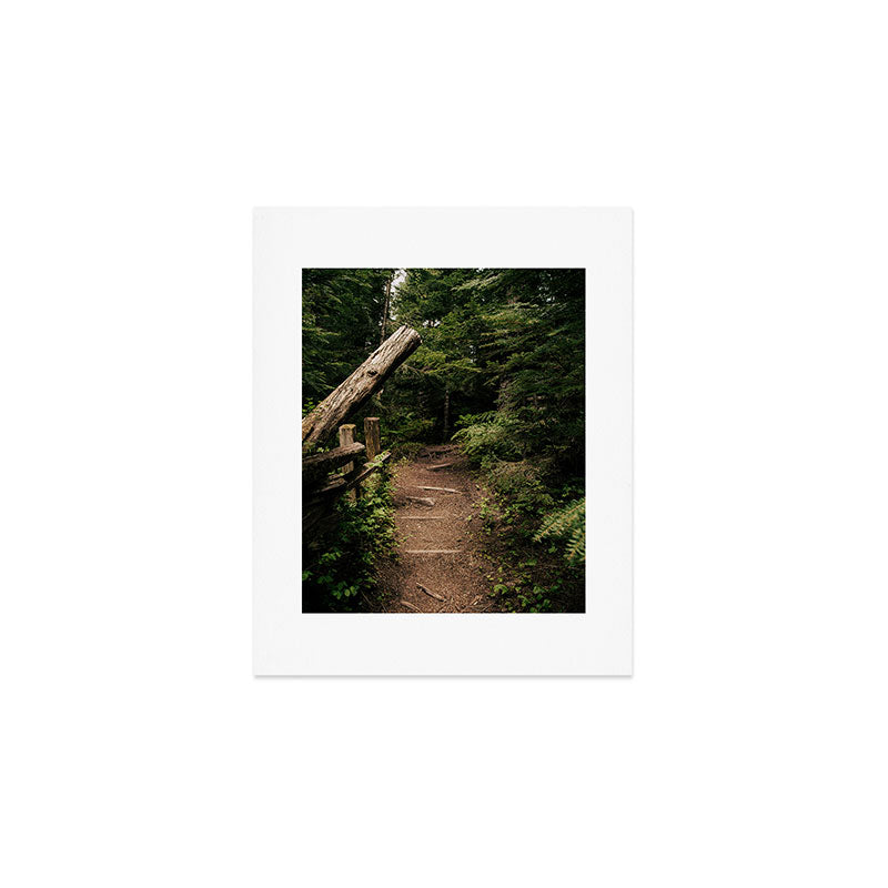 Forest Path Art Print Gallery Image 1
