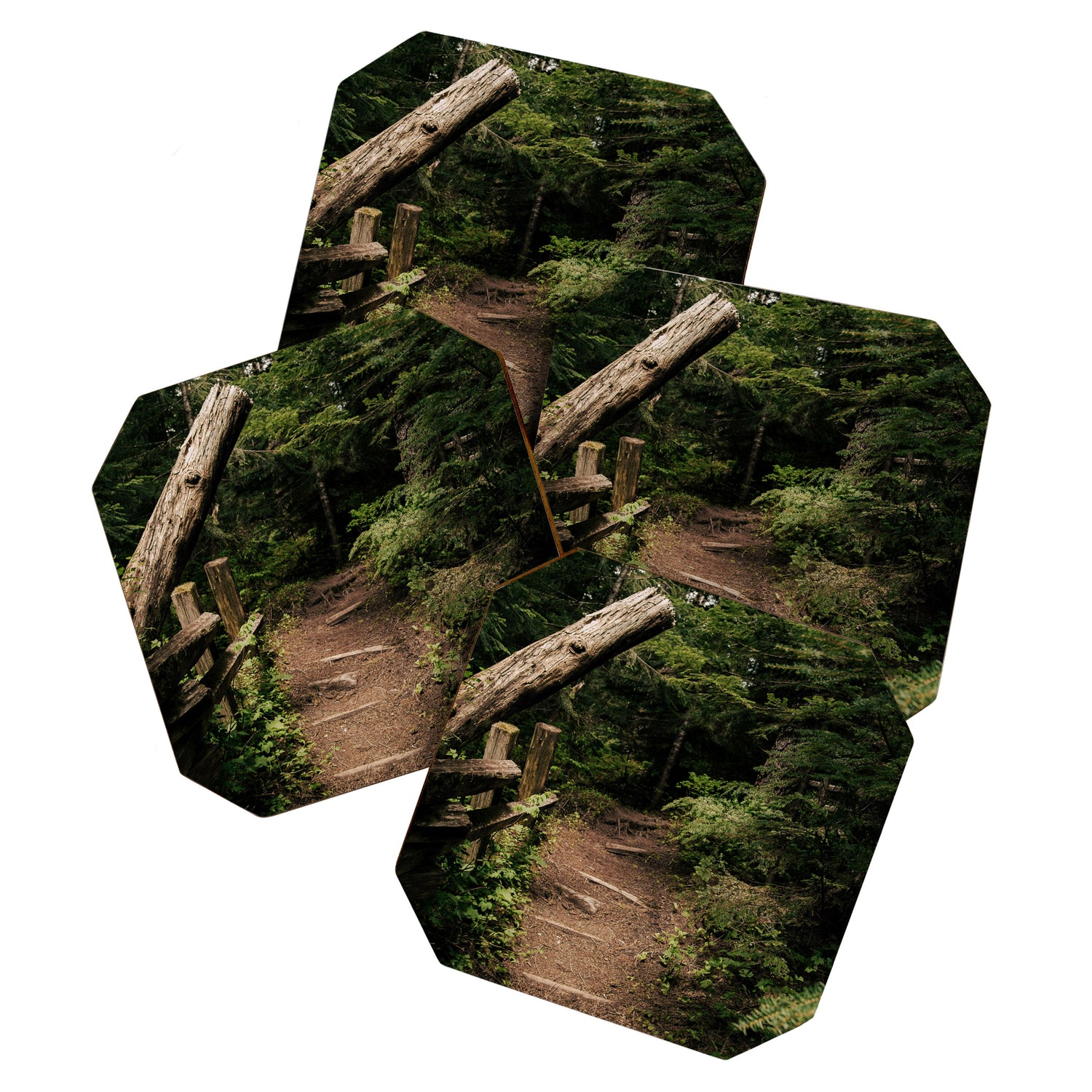 Forest Path Coaster Gallery Image 1