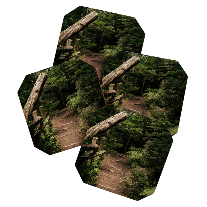 Forest Path Coaster Gallery Image 1