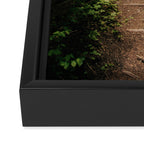 Forest Path Framed Canvas Print Gallery Image 3
