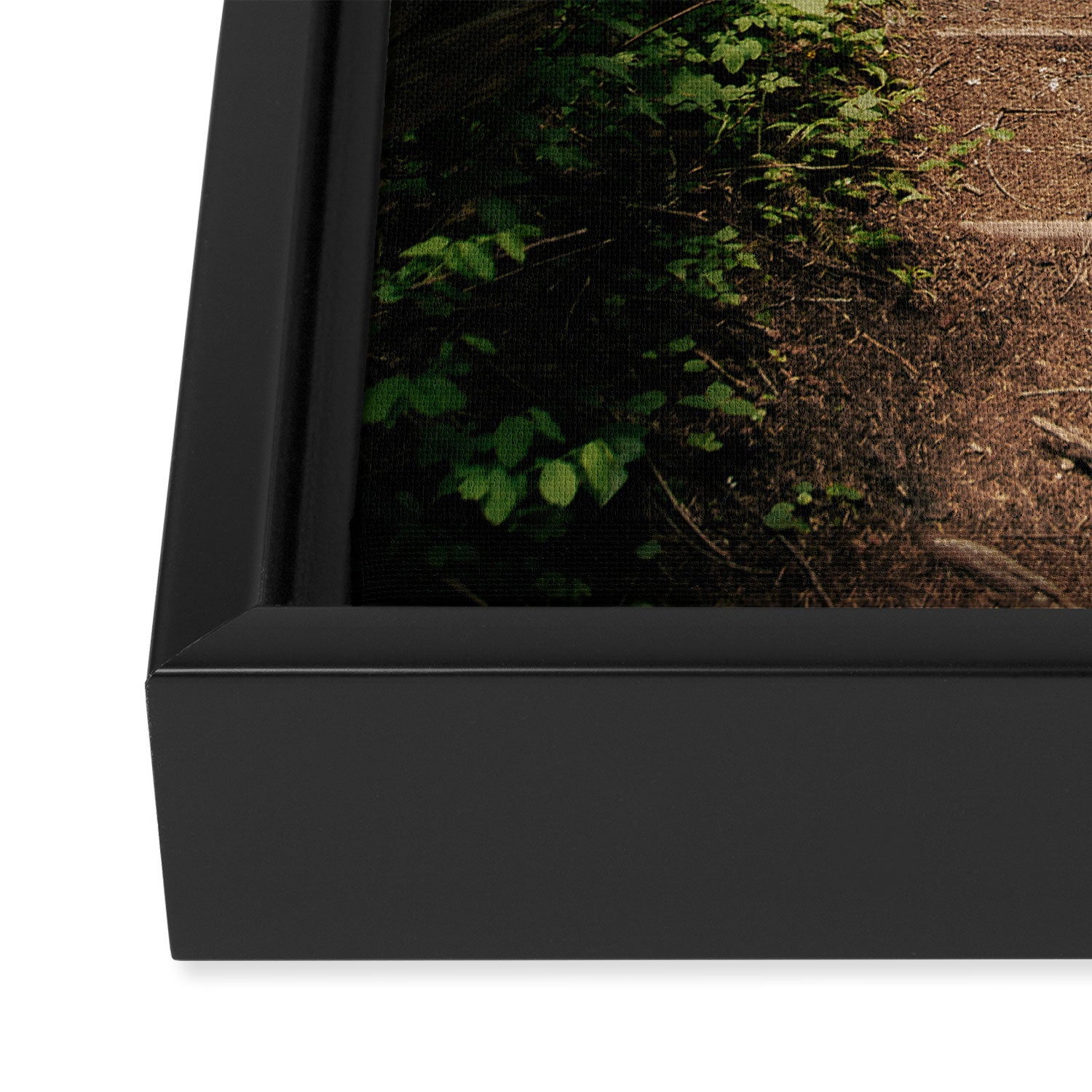 Forest Path Framed Canvas Print Gallery Image 3