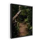Forest Path Framed Canvas Print Gallery Image 2