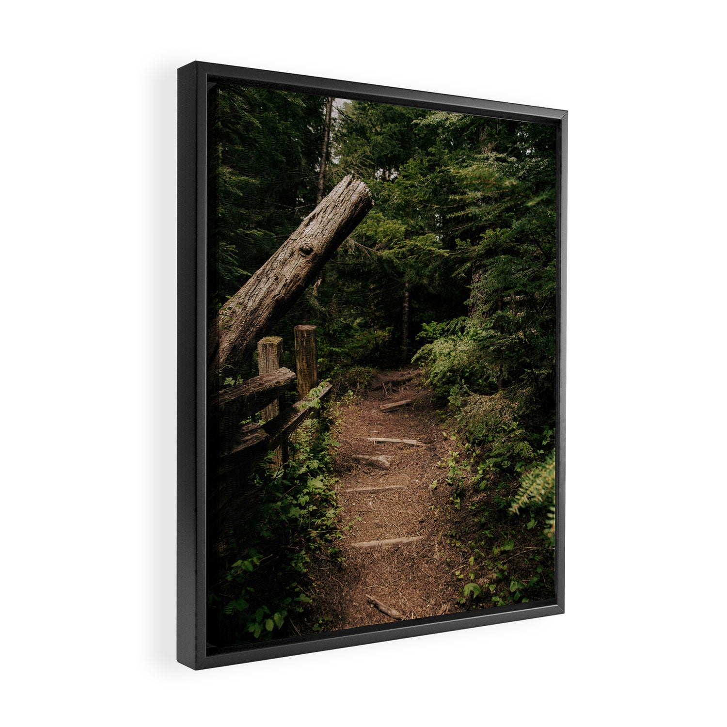 Forest Path Framed Canvas Print Gallery Image 2