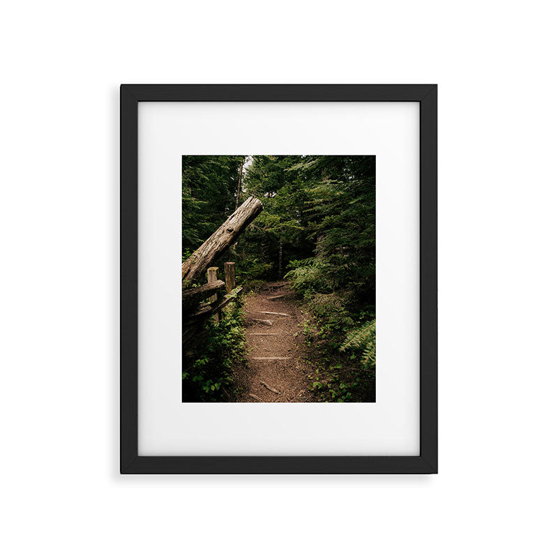 Forest Path Framed Art Print Gallery Image 5