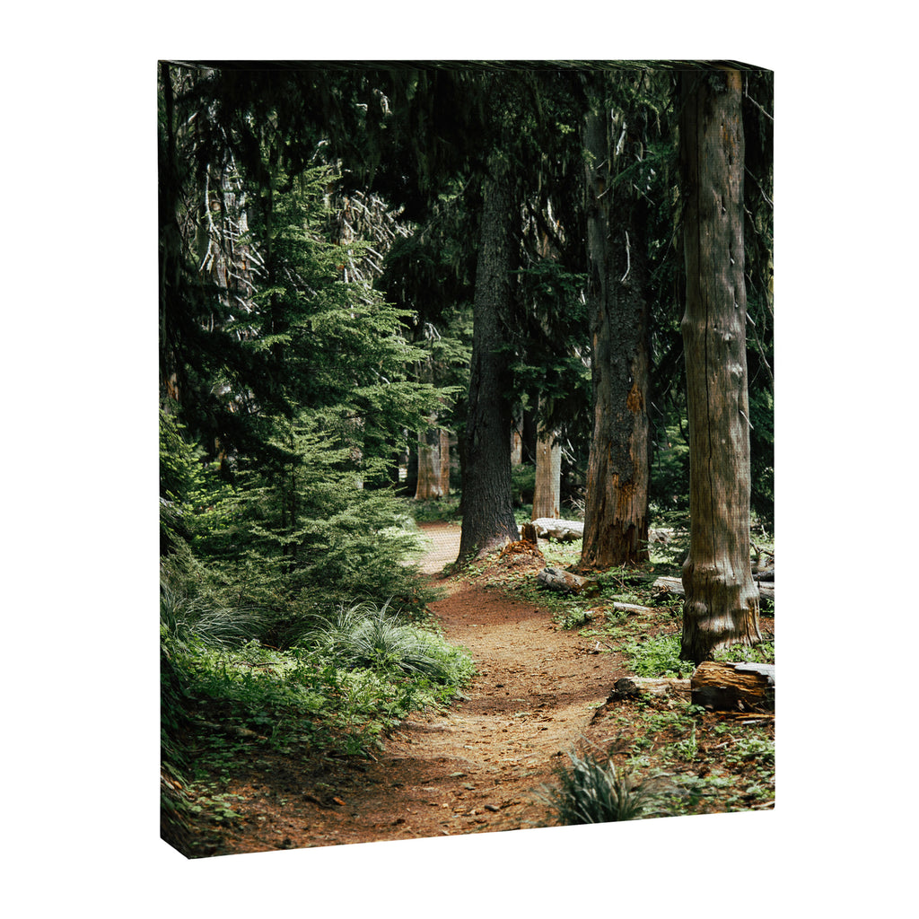 Forest Trail Canvas Print Gallery Image 6