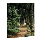 Forest Trail Canvas Print Gallery Image 6